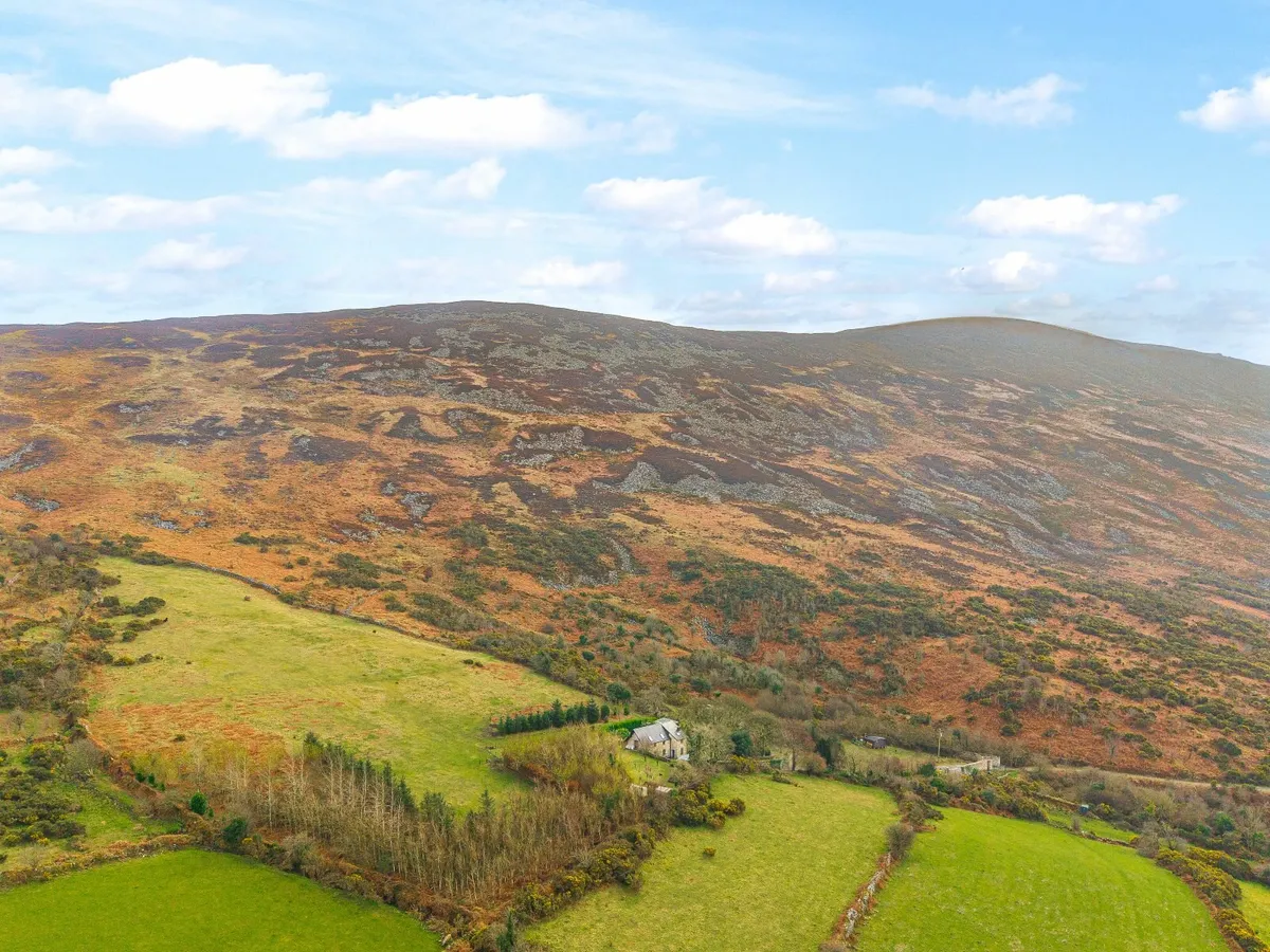 small Farm for Sale - Image 1