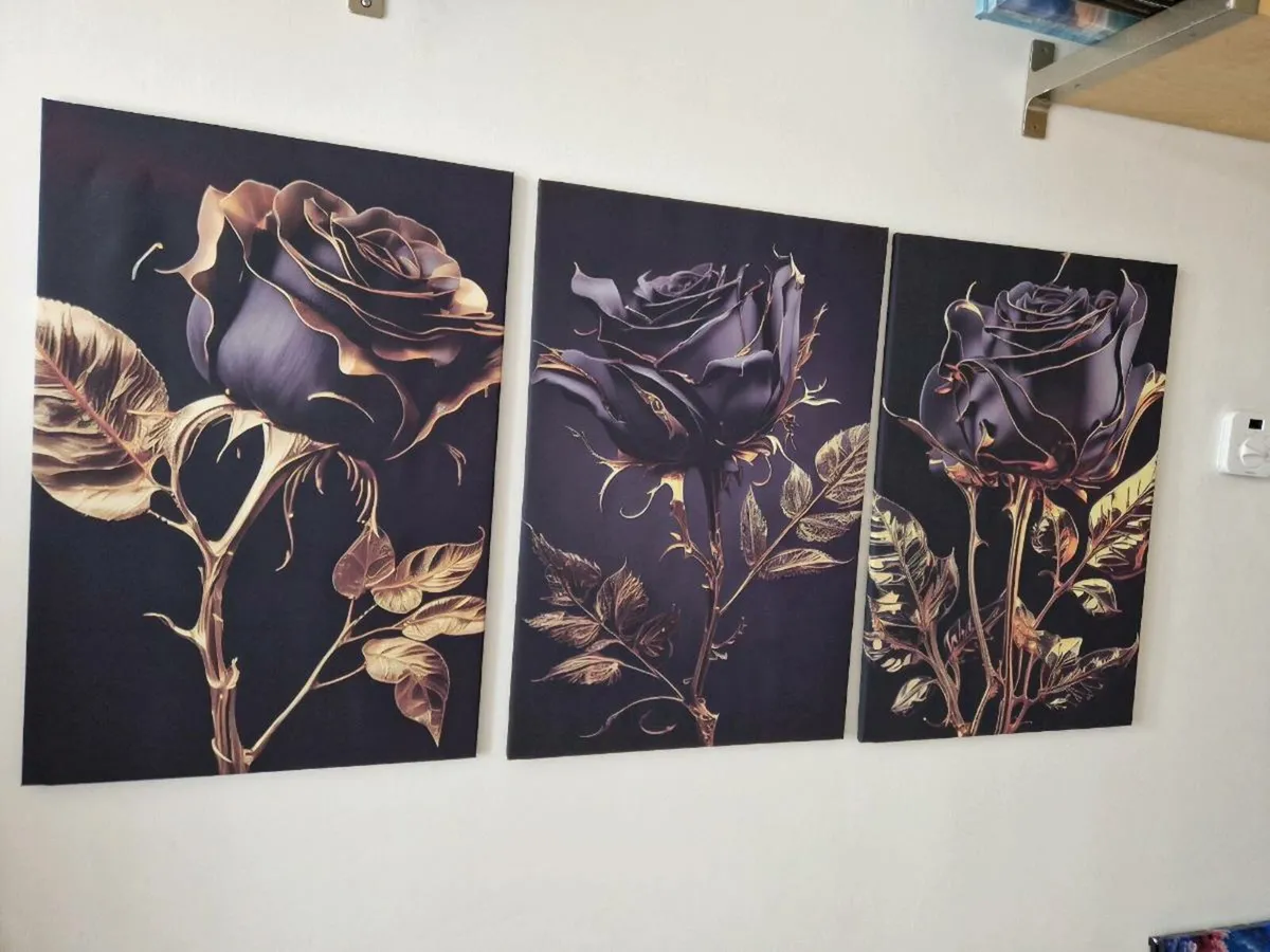3 canvas 65cm x 43 cm - Image 1