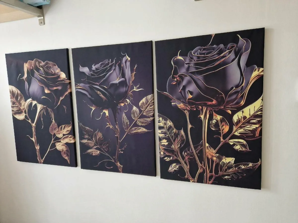 3 canvas 65cm x 43 cm - Image 2