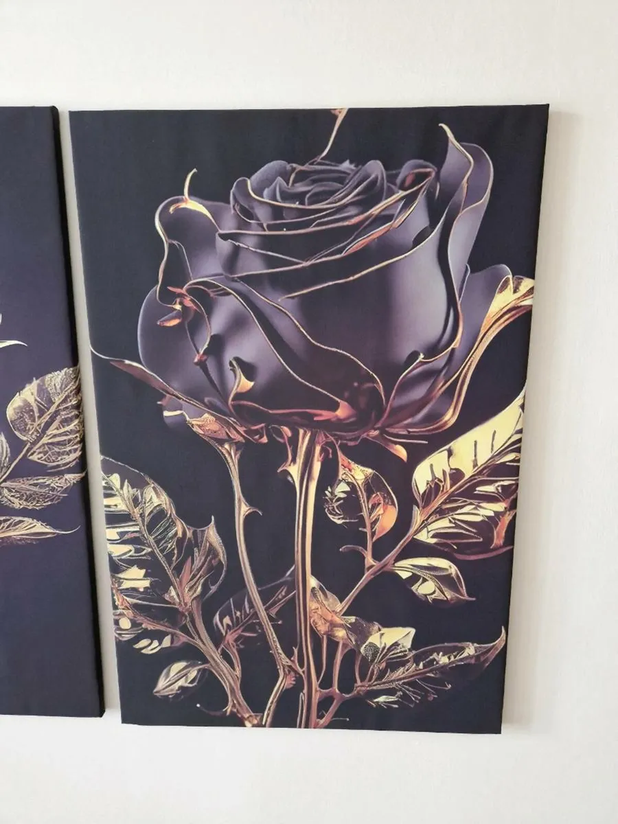 3 canvas 65cm x 43 cm - Image 3