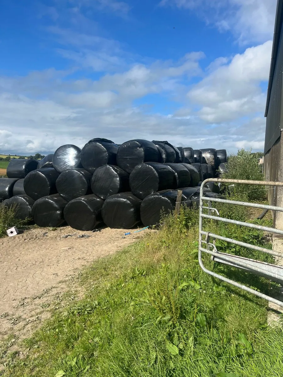 Silage/haylage - Image 2