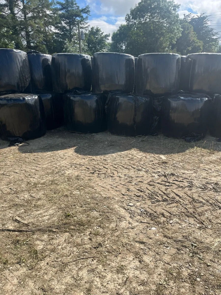 Silage/haylage - Image 1