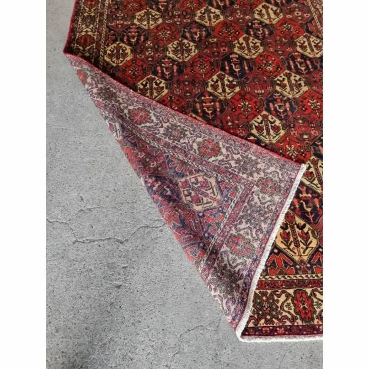Bakhtiyar KASRug34 - Image 2