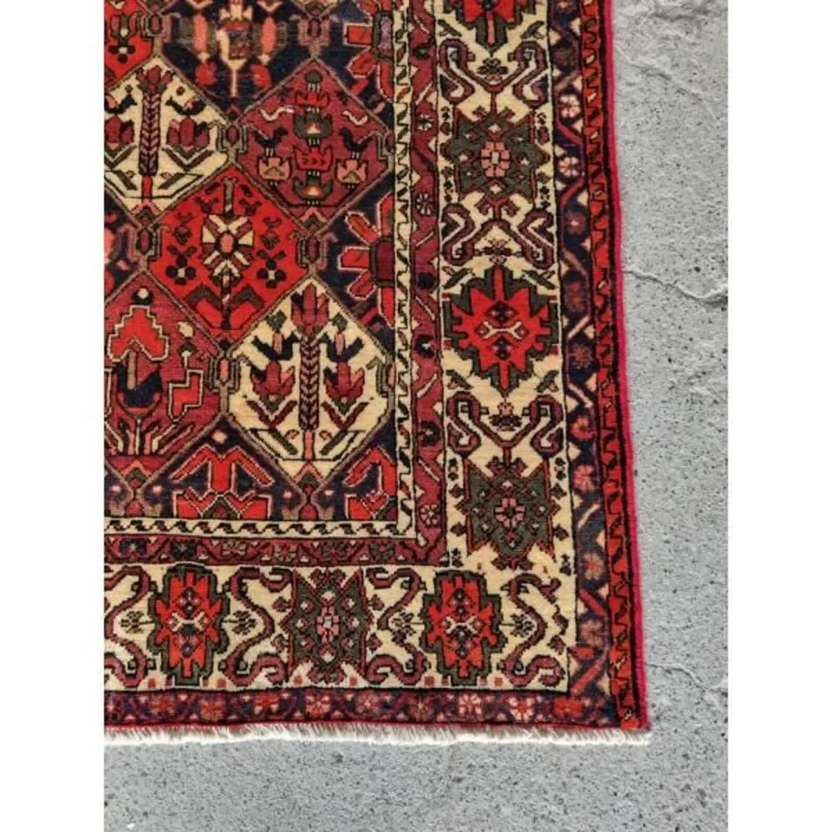 Bakhtiyar KASRug34 - Image 4