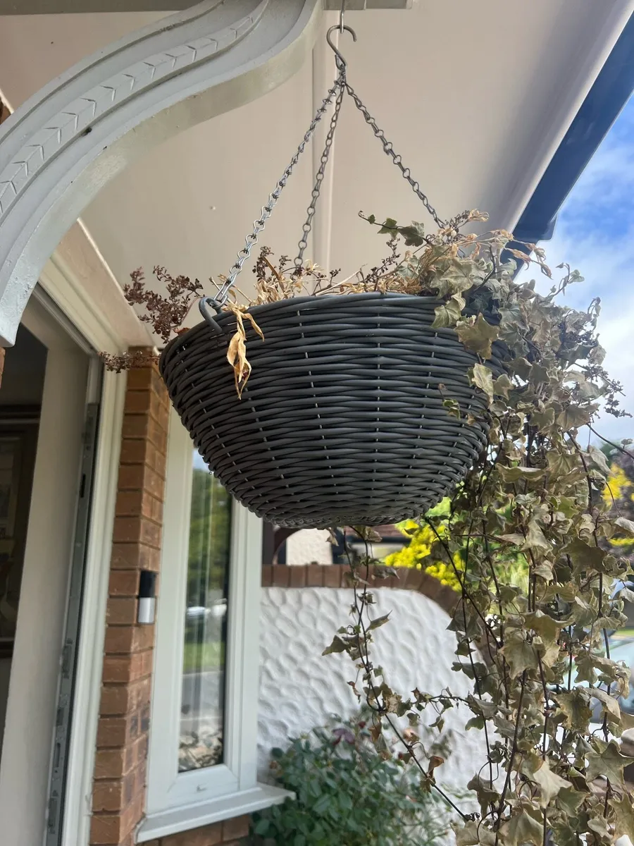 Hanging Basket/Plant pot