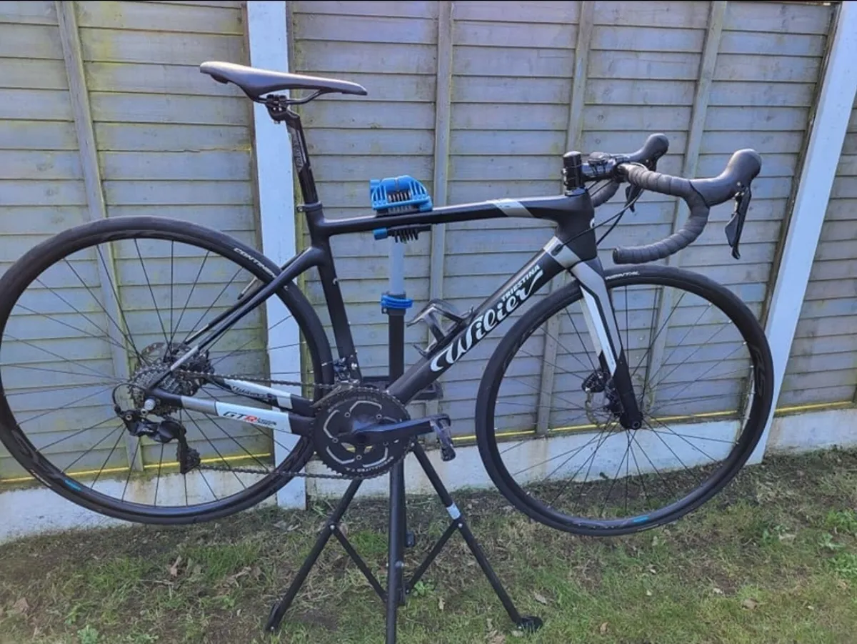 For Sale Willier Trestina 49" Carbon Frame Racer - Image 1