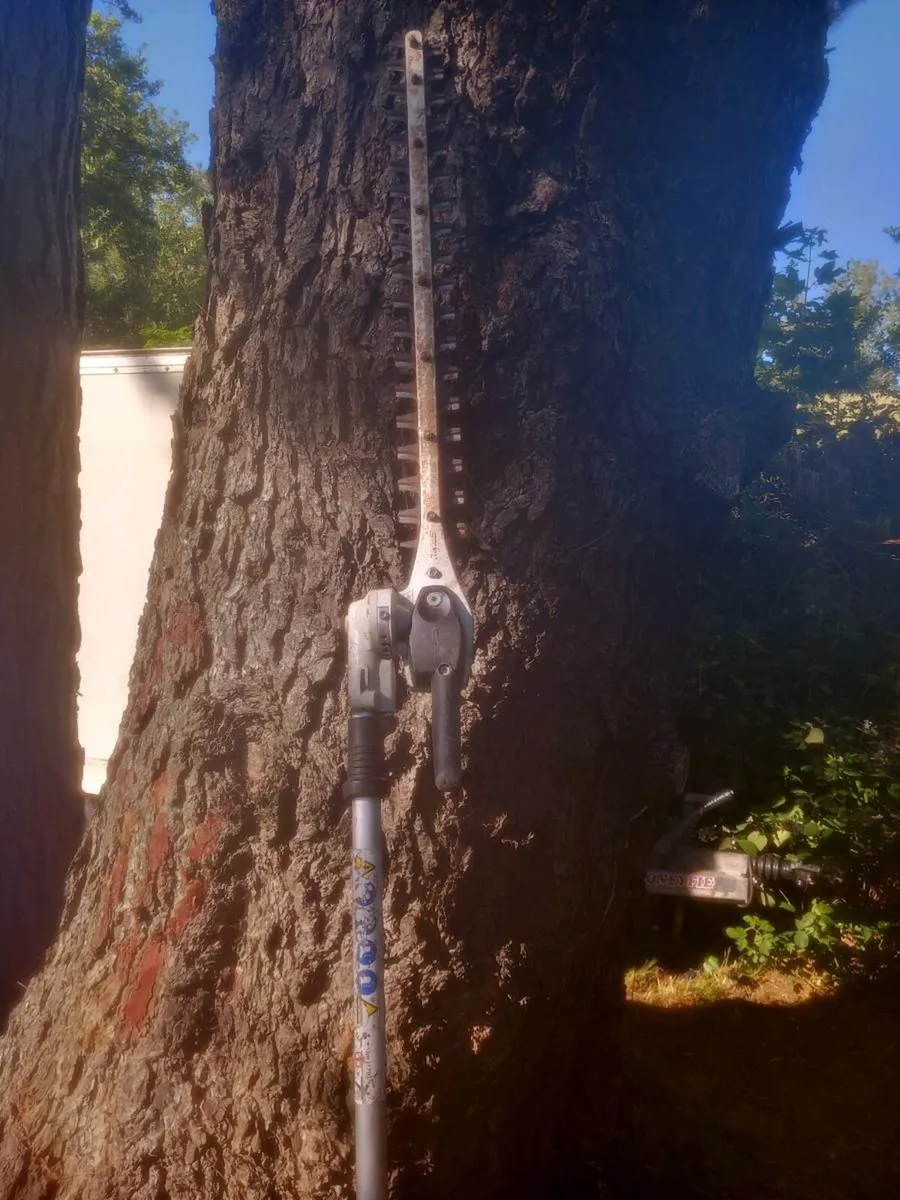 Stihl pole hedge trimmers - Image 4