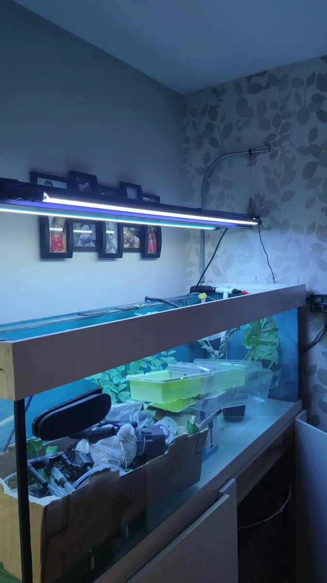 lamp iquatics - Image 4
