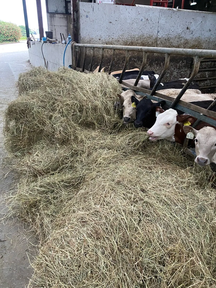 Hay bales - Image 2