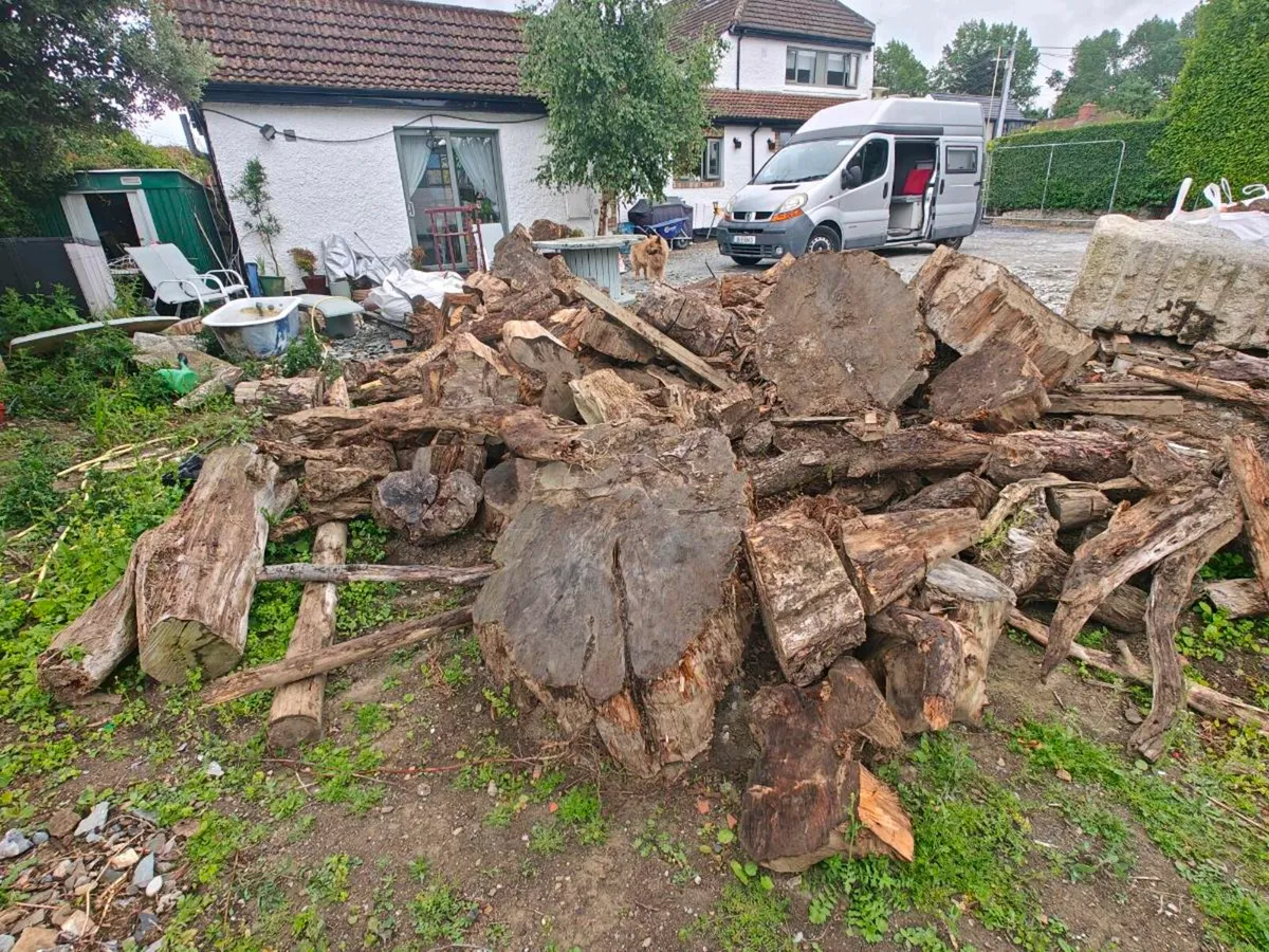 Logs firewood free to take away - Image 1