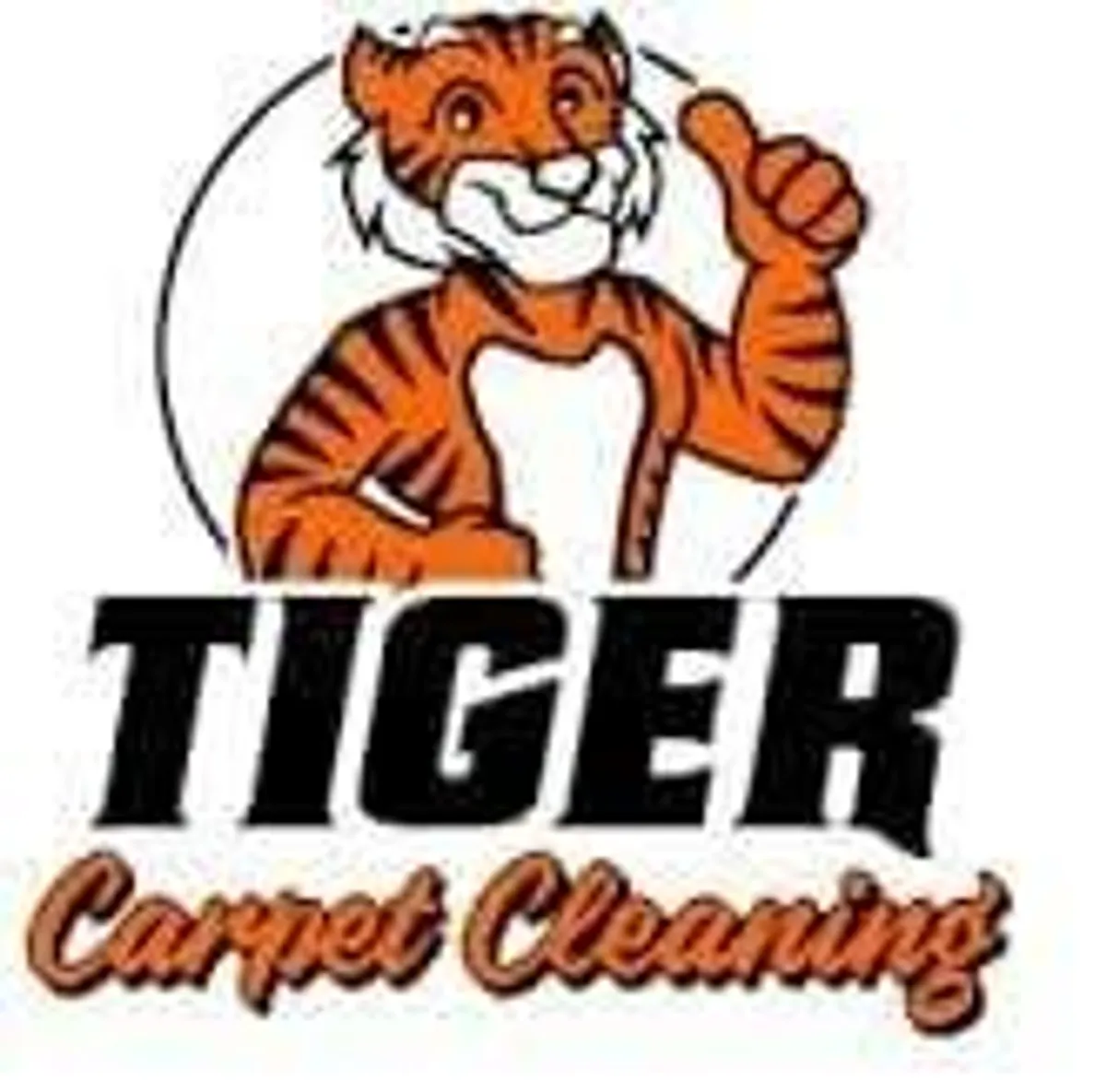 carpet and upholstery cleaning service - Image 2