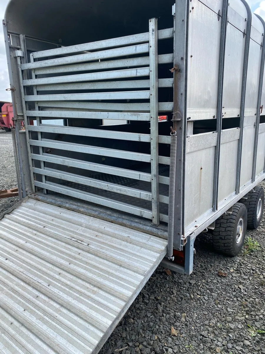 Cattle/ sheep trailer - Image 2
