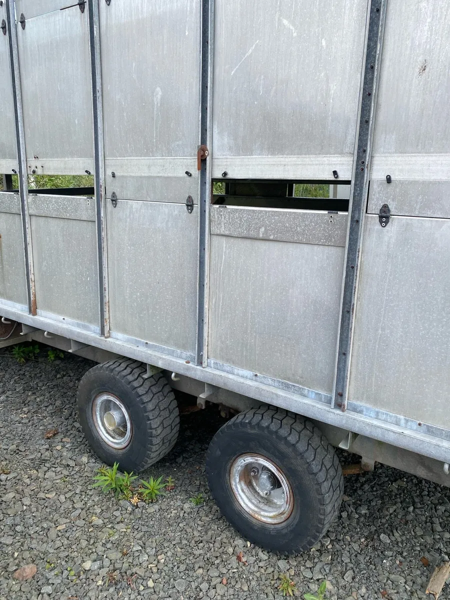 Cattle/ sheep trailer - Image 3