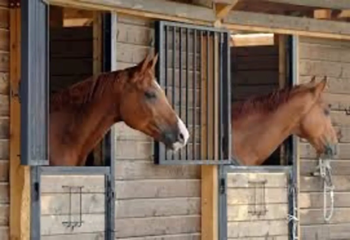 Wanted stable in county Kerry