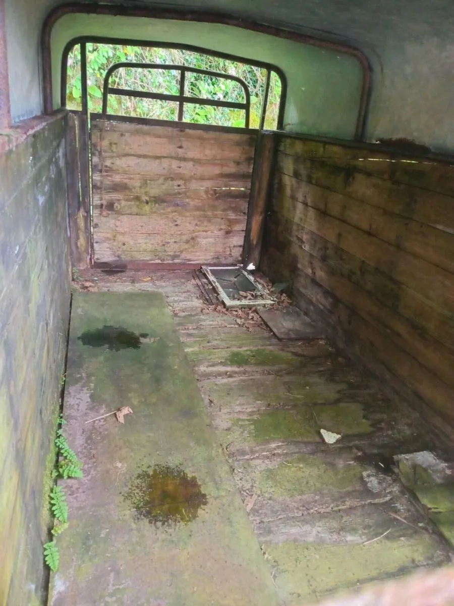 Cattle trailer for sale - Image 2