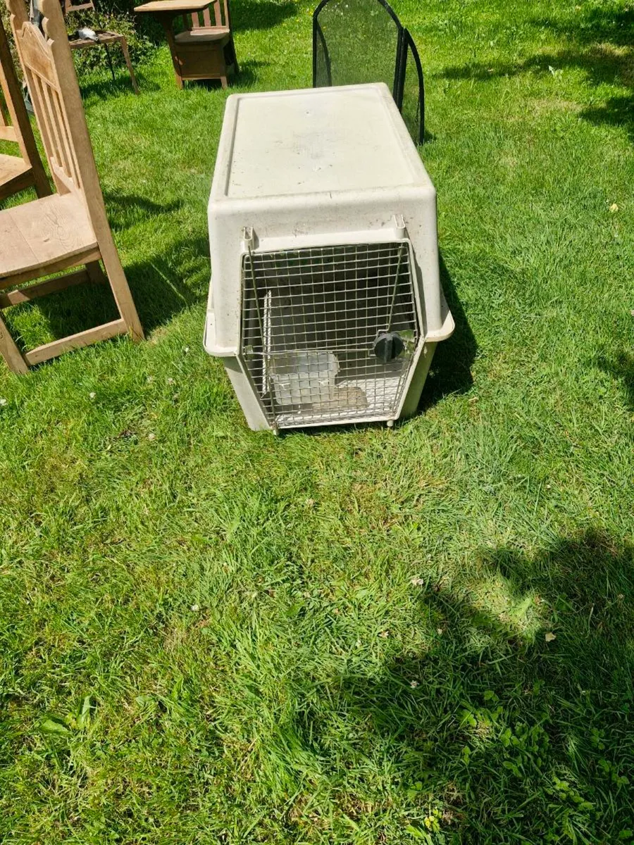 Dog crate. - Image 1
