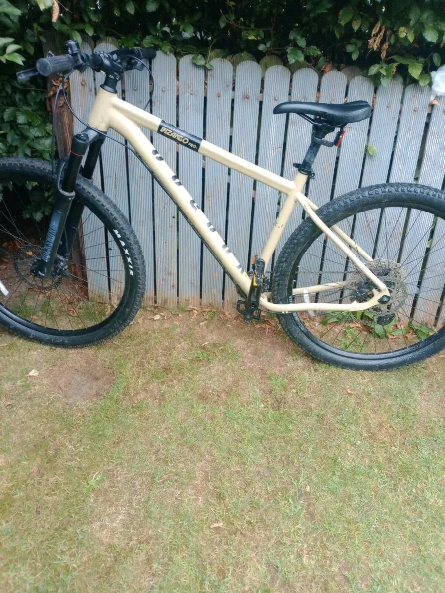 Bike - Image 1