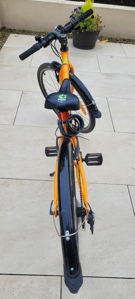 Frog 69 Bike - Image 3