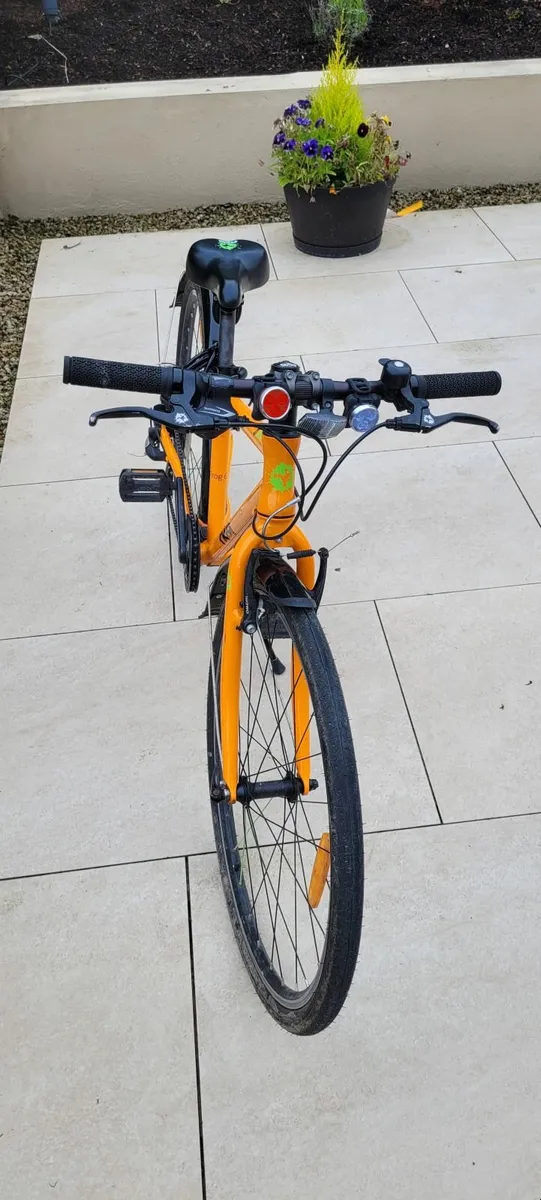 Frog 69 Bike - Image 4