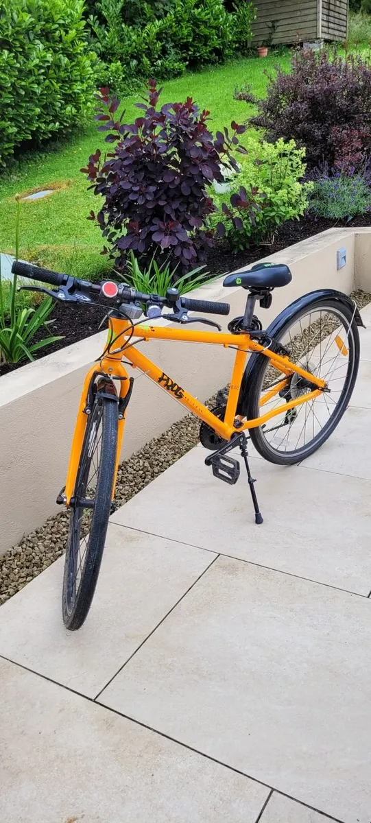 Frog 69 Bike - Image 1
