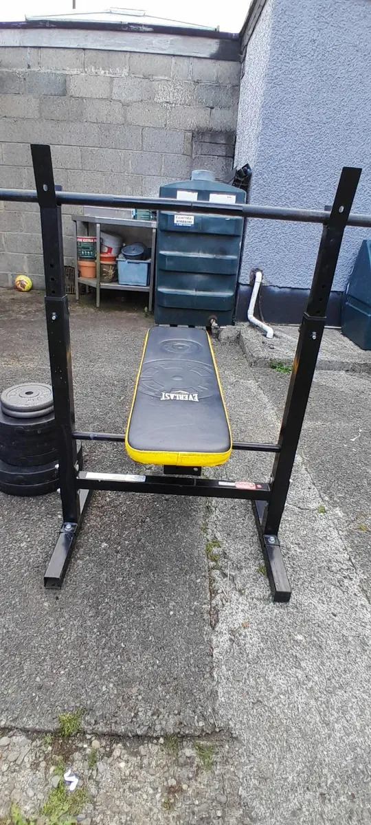 Weight Bench and Weights Everlast - Image 3