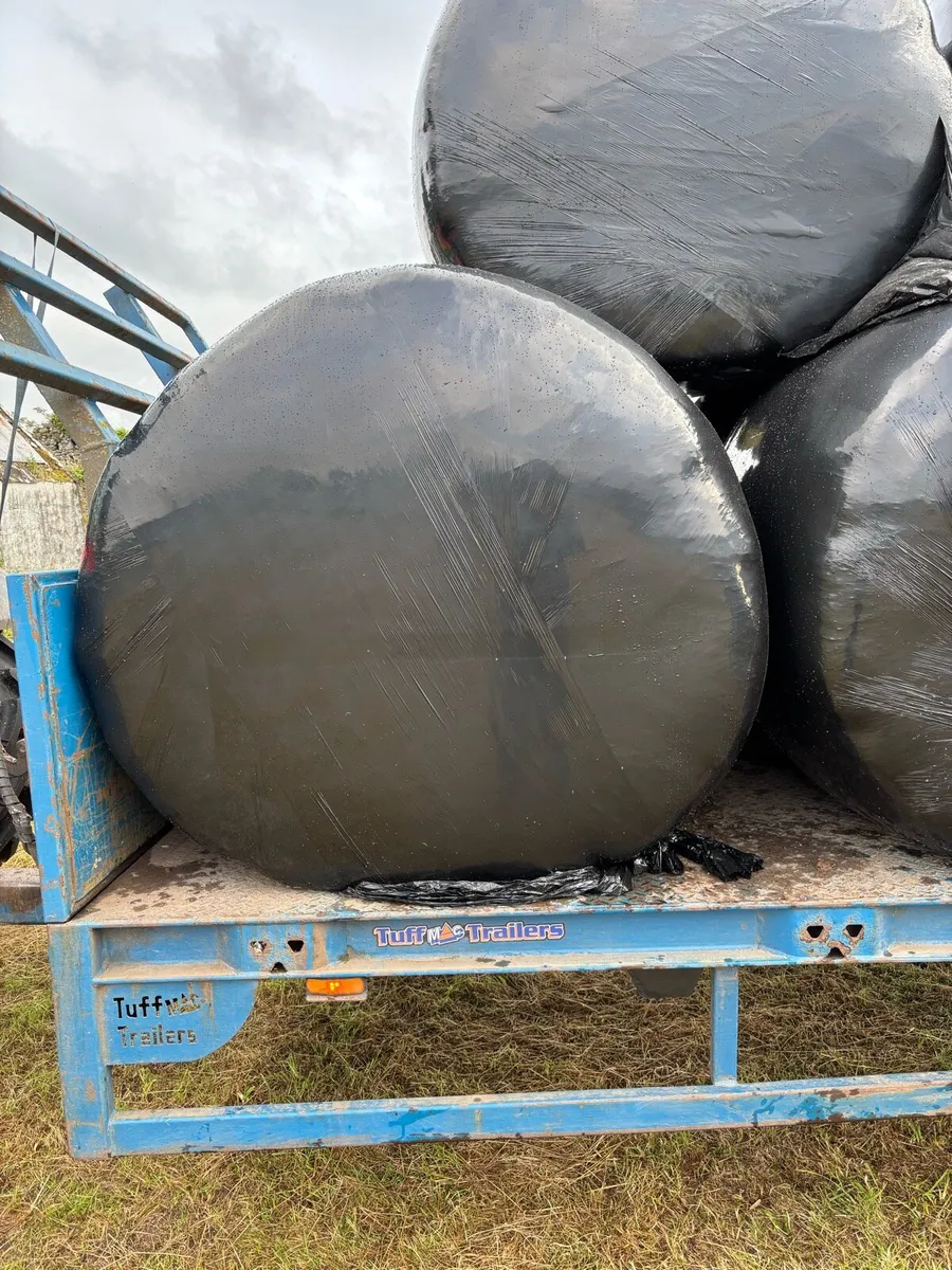 Haulage for sale - Image 3