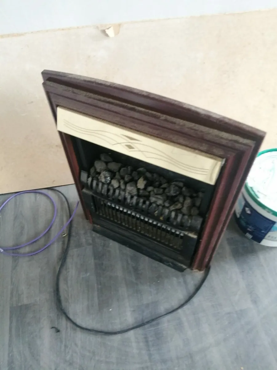 Plug in electric fire