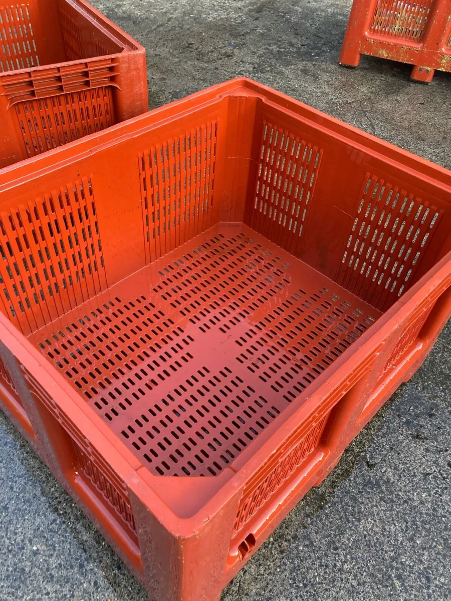 Fish Crates for sale - Image 1