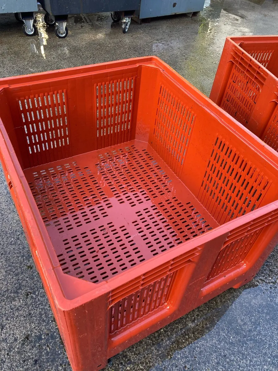 Fish Crates for sale - Image 2