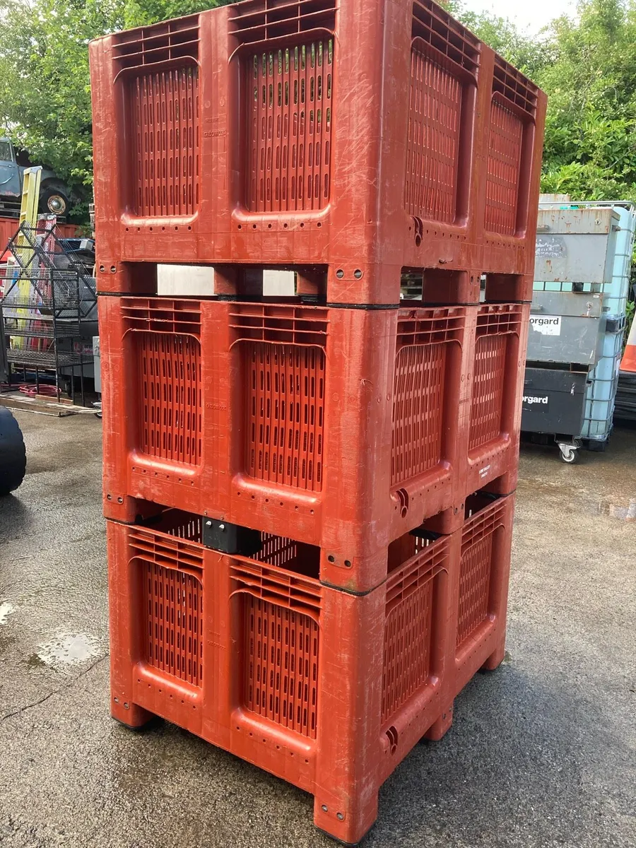 Fish Crates for sale - Image 4