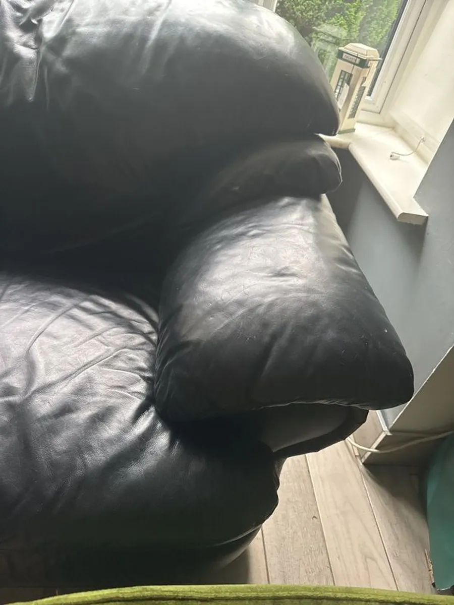 Free - Image 3
