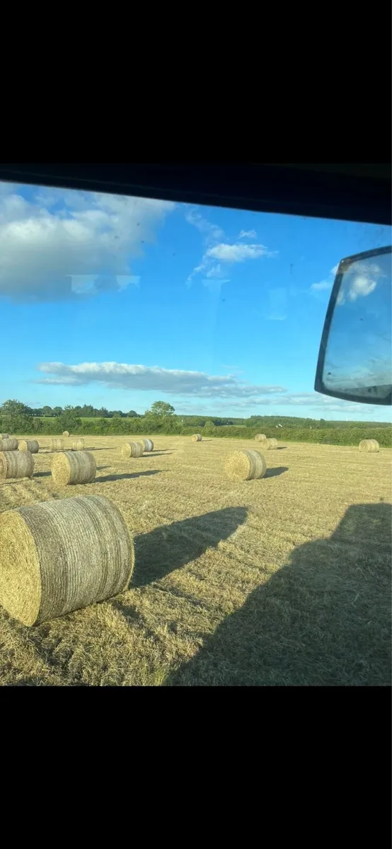 Hay