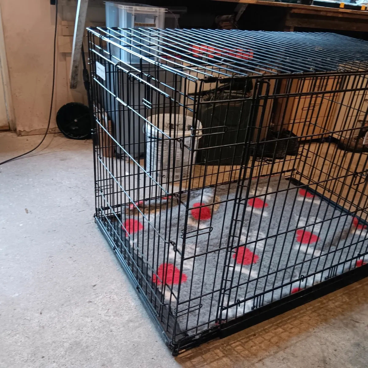 Dog crate - Image 4
