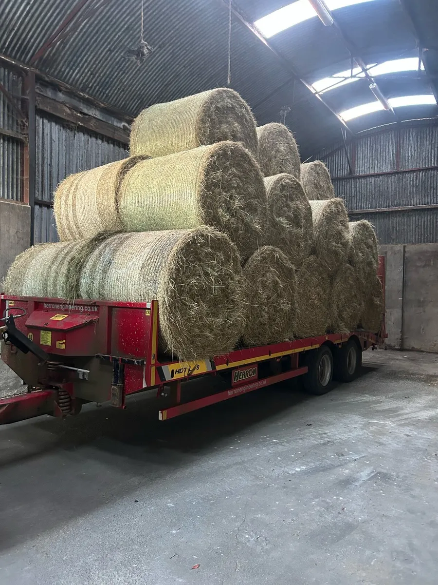 Hay