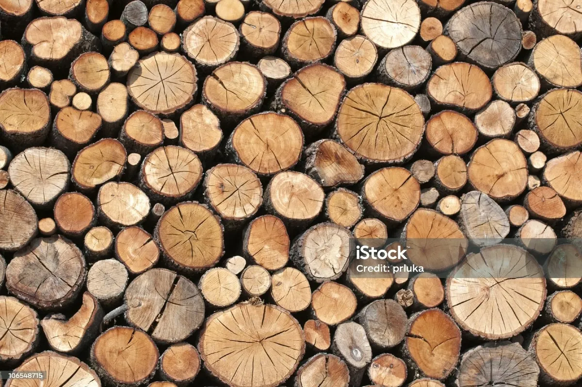 FREE Firewood