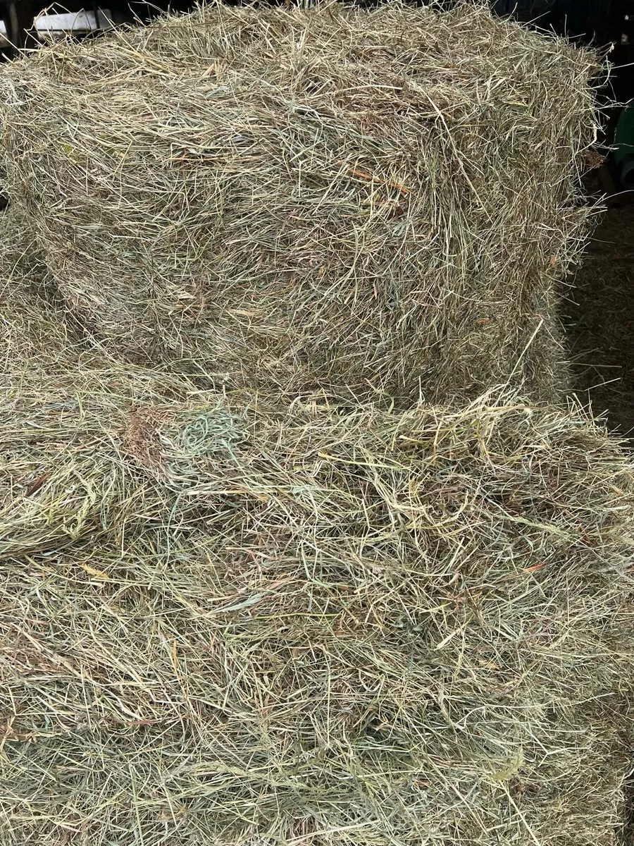Hay for sale - Image 1