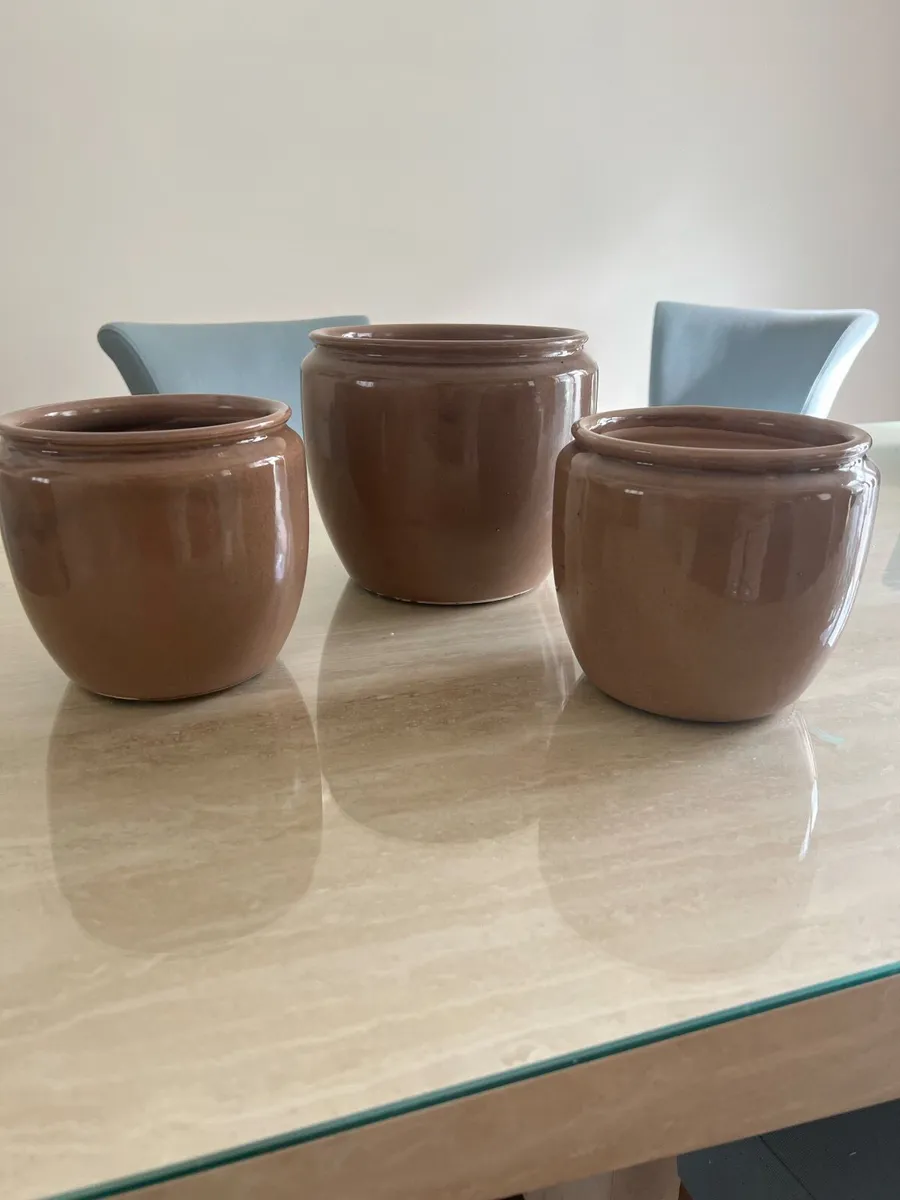 Plant pots