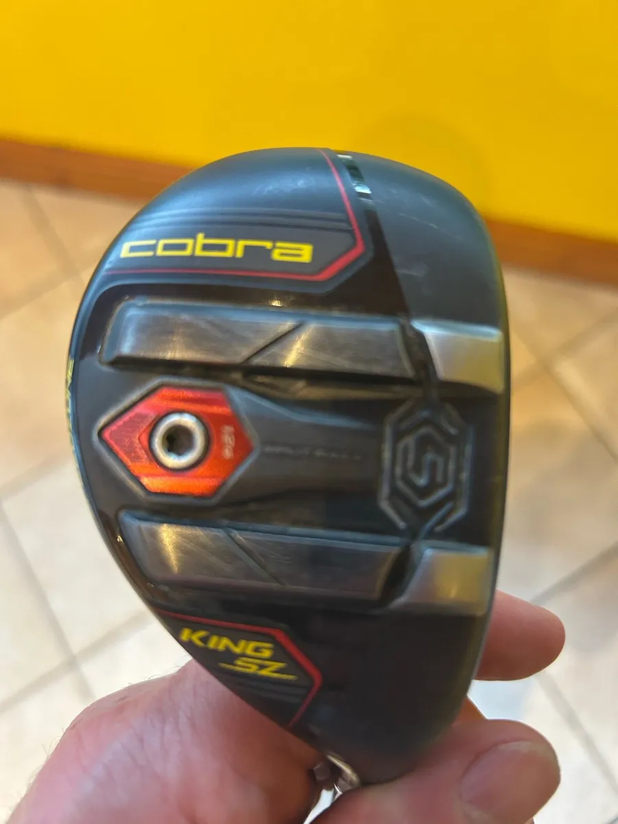King Cobra - Image 1