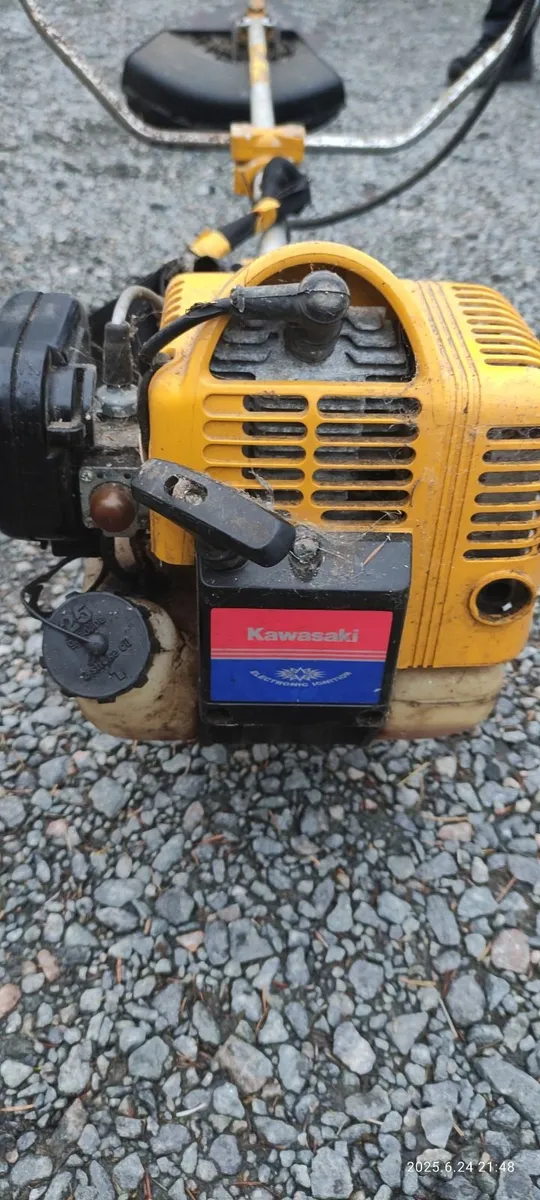 Strimmer - Image 2