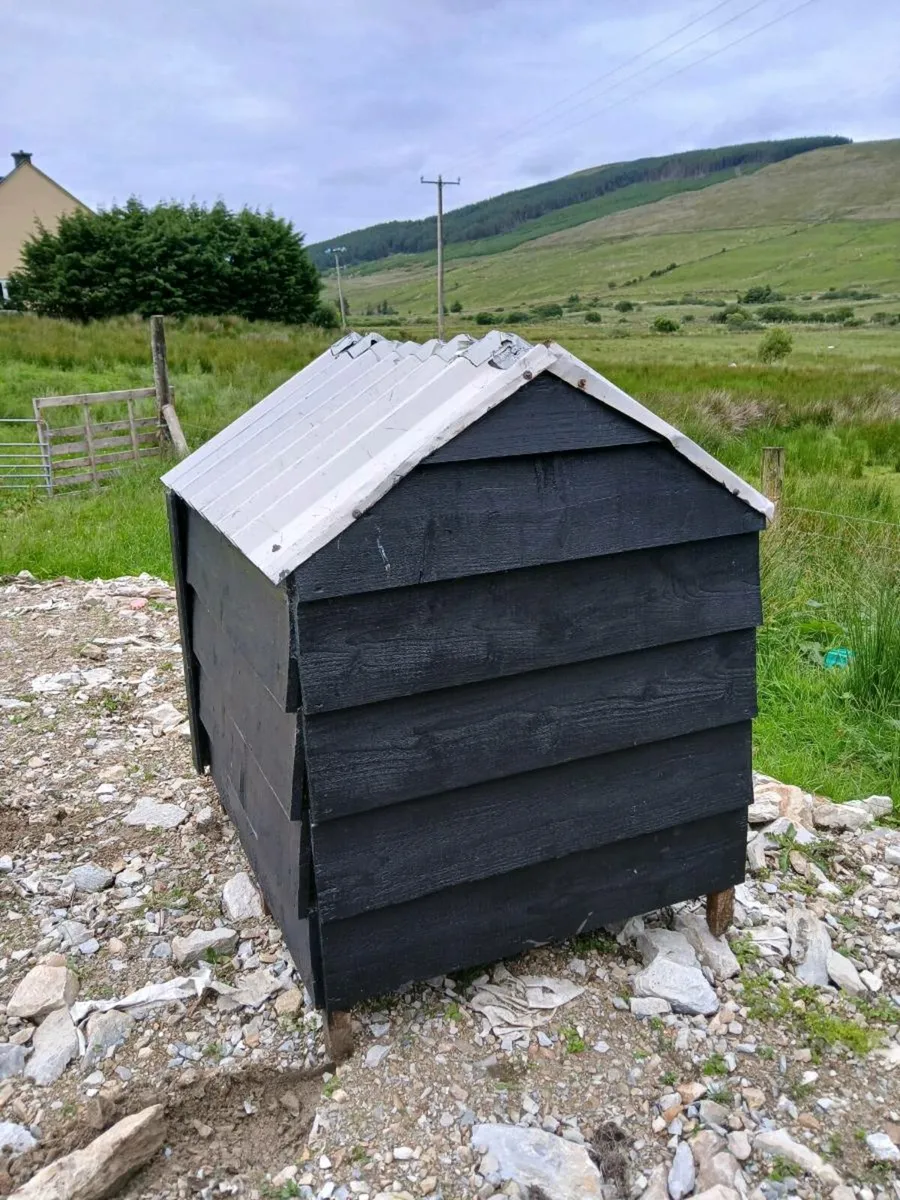 Chicken coup - Image 2