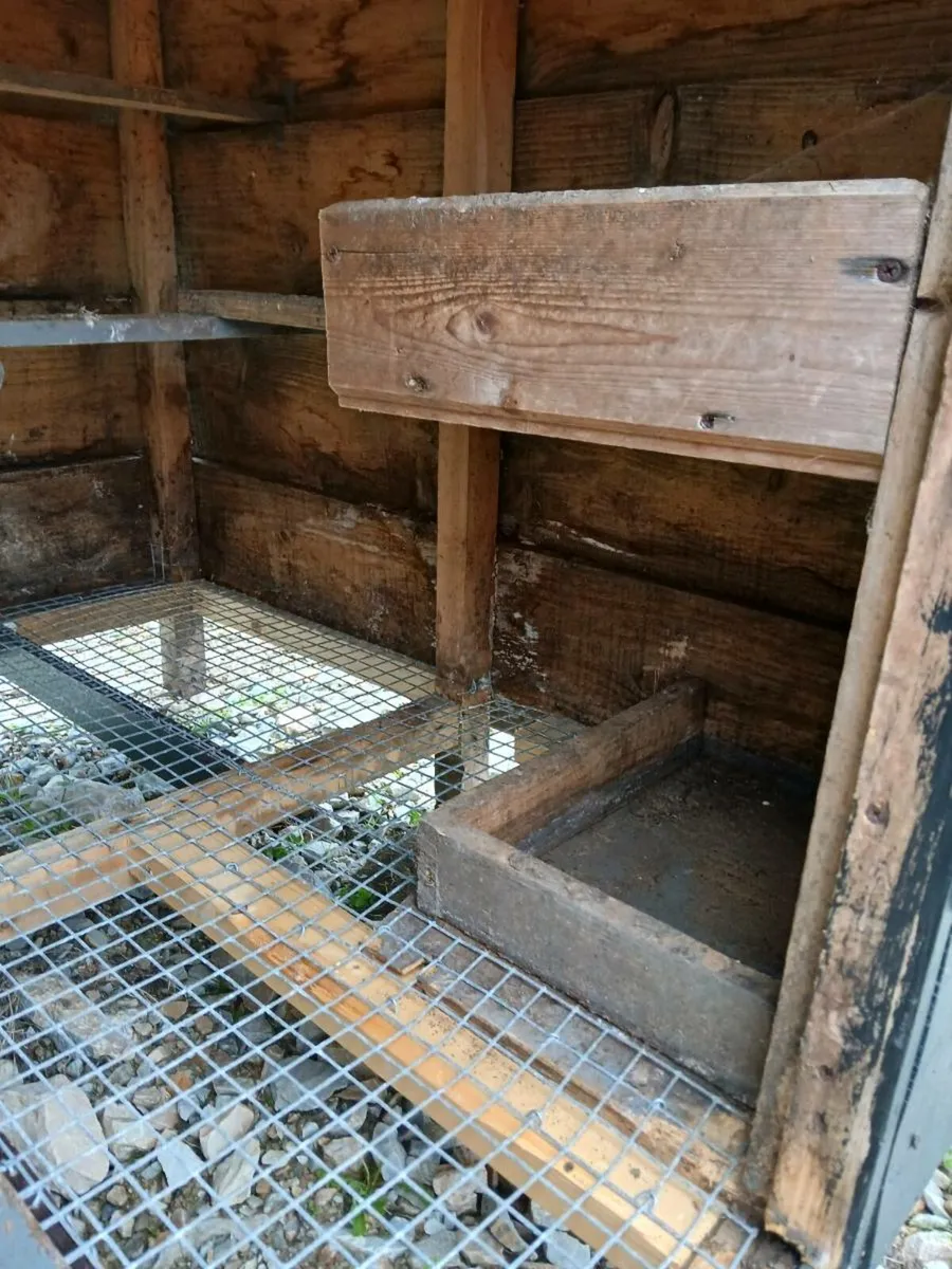 Chicken coup - Image 3