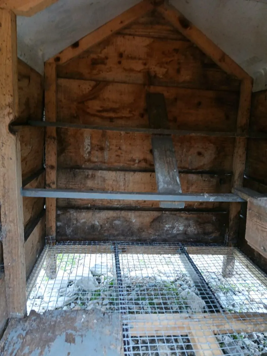 Chicken coup - Image 4