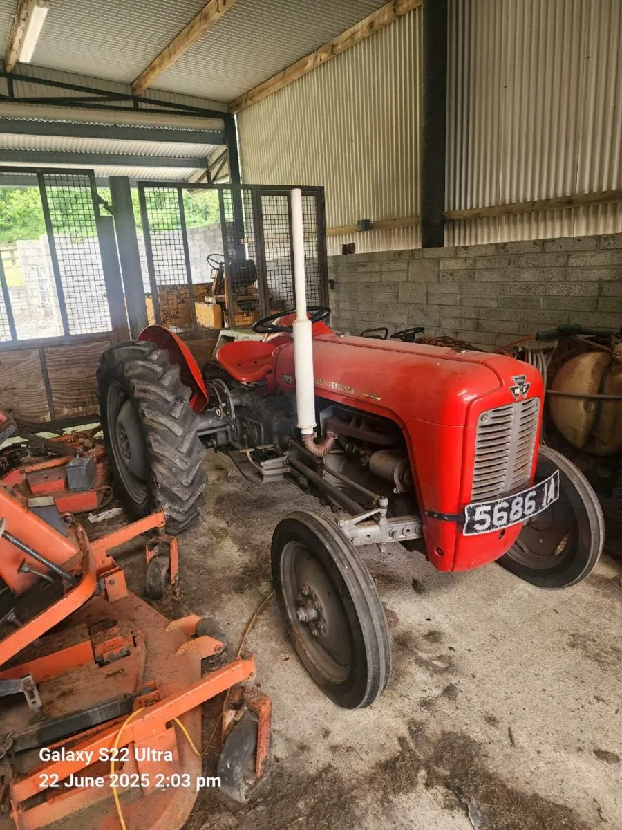 1956 Ferguson 35 petrol - Image 2