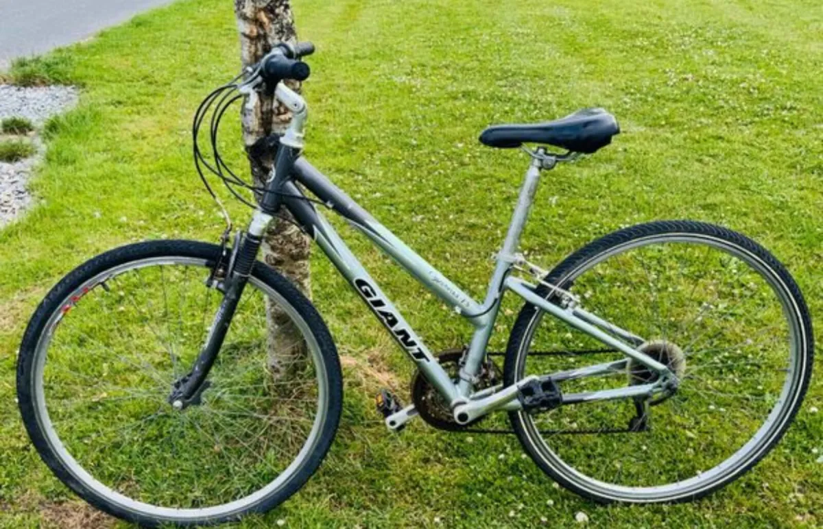 Giant bicycle for sale need gone tomorrow