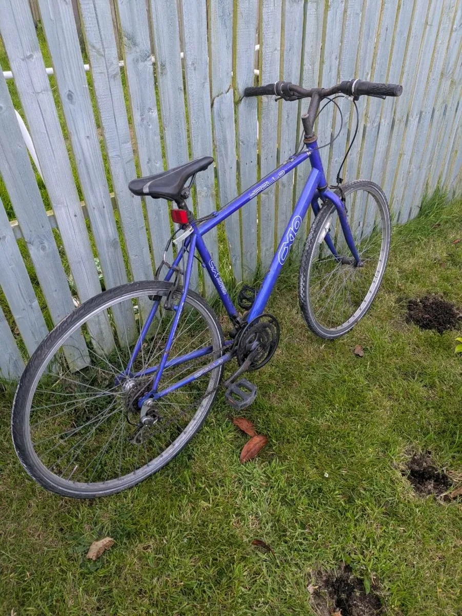 Bicycle - Image 2