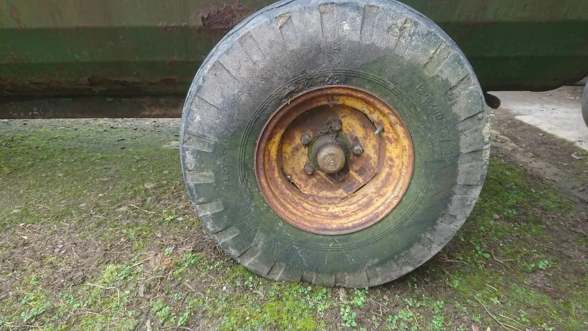 shed/yard clearout - Image 1