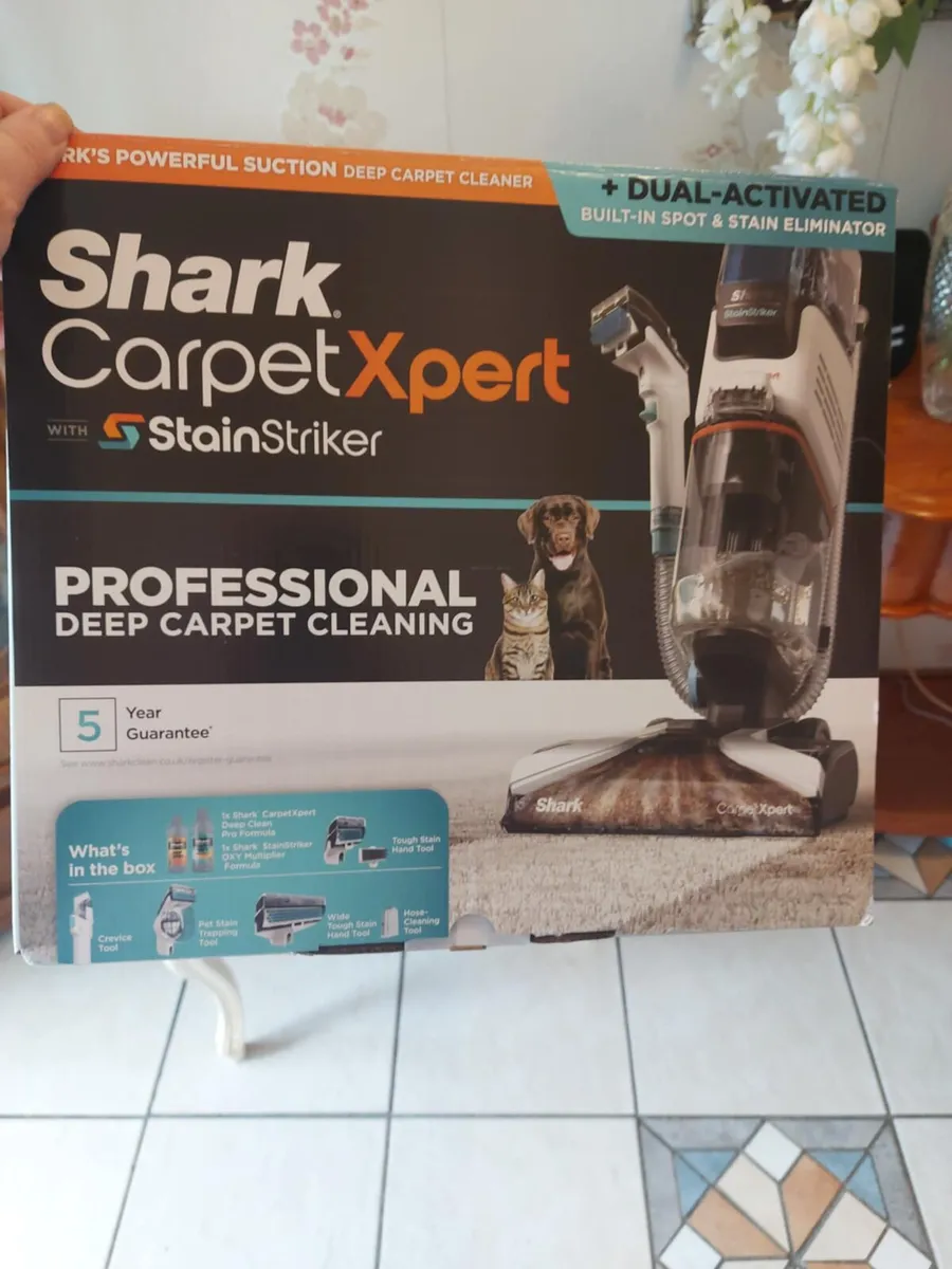 Carpet expert - Image 2