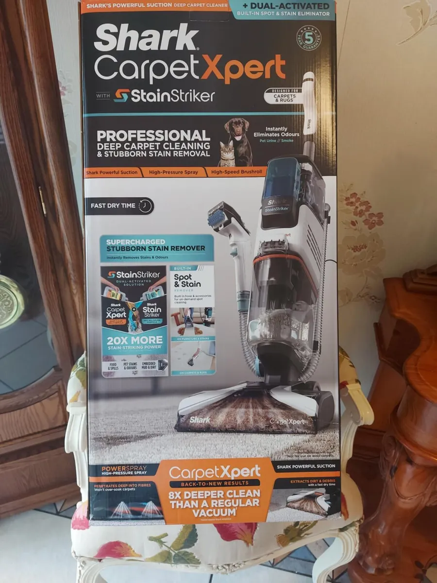 Carpet expert - Image 1