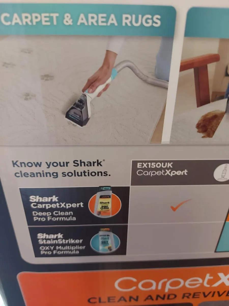 Carpet expert - Image 3