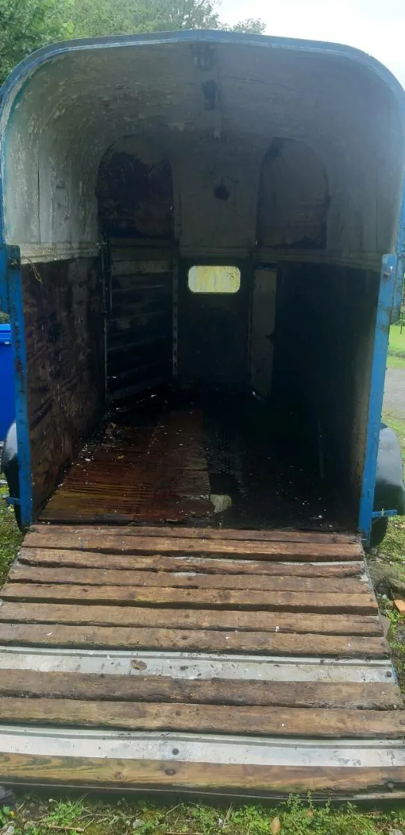 Rice double horsebox - Image 3